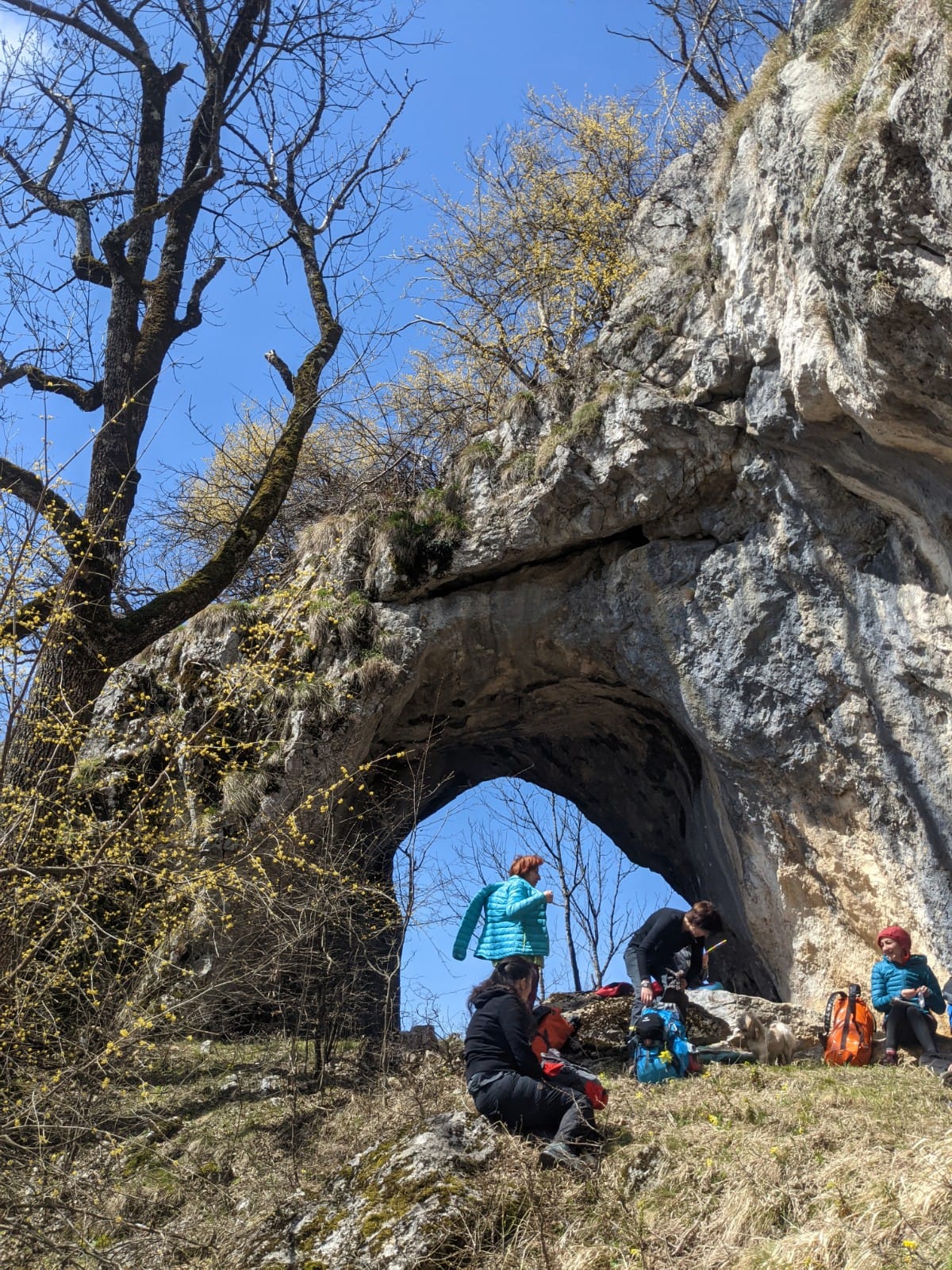 Pod natural intrare, foto Gabi Constantinescu